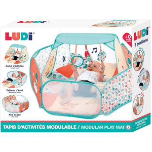 Comprar Arca de Actividades Modular para su bebé de la marca Ludi