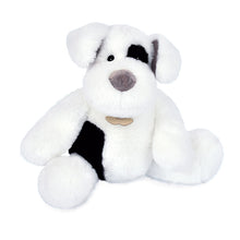 Cargar imagen en el visor de la galería, Dulce perrito de peluche de 24 cm que enamora por su suavidad en el mismo momento que lo tocas. Viene presentado en una bonita caja de regalo.