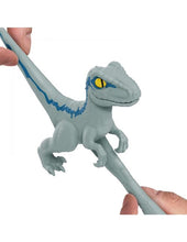 Carregar imagem no visualizador da galeria, Heroes of Goo Jit Zu te trae los nuevos héroes elásticos del mundo Jurásico. Realista y muy elástico. El velociraptor se estira hasta 3 veces su tamaño Agarra y estira los brazos y las piernas de Blue. 