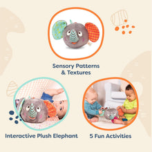 Cargar imagen en el visor de la galería, Divertido elefante interactivo para los más pequeños. Es sueve y muy blandito. Hace sonidos divertidos Apretando el pajarito sorpresa de la parte posterior podras oir como pía. Tapa los ojos al elefante con sus orejas para jugar al veo-veo y oir sus risas