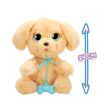 Carregar imagem no visualizador da galeria, Baby Paws Labrador Perrito Bebé - IMC Toys 921146