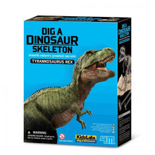 Carregar imagem no visualizador da galeria, Juego de Excavacion Rex ,Con este set geológico, ¡los peques se sentirán como verdaderos paleontólogos! Los peques deberán extraer los huesos del esqueleto de un Tyrannosaurus Rex de la piedra y después podrán reconstruirlo, creando un esqueleto de 19cm de largo.