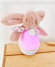 Carregar imagem no visualizador da galeria,  Conejito Musical Luz Rosa - Baby Rabbit Doudou Pink Proporciona a tu bebé un mundo de ternura y serenidad con la luz nocturna Baby Rabbit Doudou. Suave y relajante: Colores pastel y peluche ultrasuave