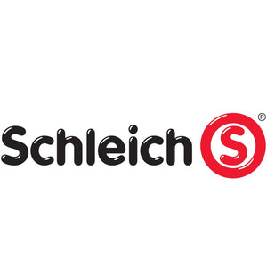 Ser Hechicero Asaitico - Schleich 70459
