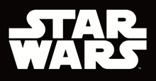 Cargar imagen en el visor de la galería, Disney Star Wars Rey (Jedi Training) Figura Titan 27,5 cm. - Hasbro C1430-C1429